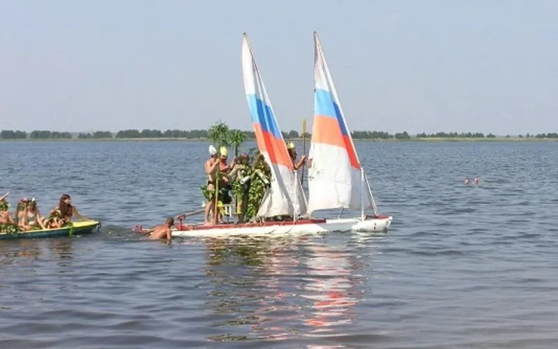 Сосновая роща