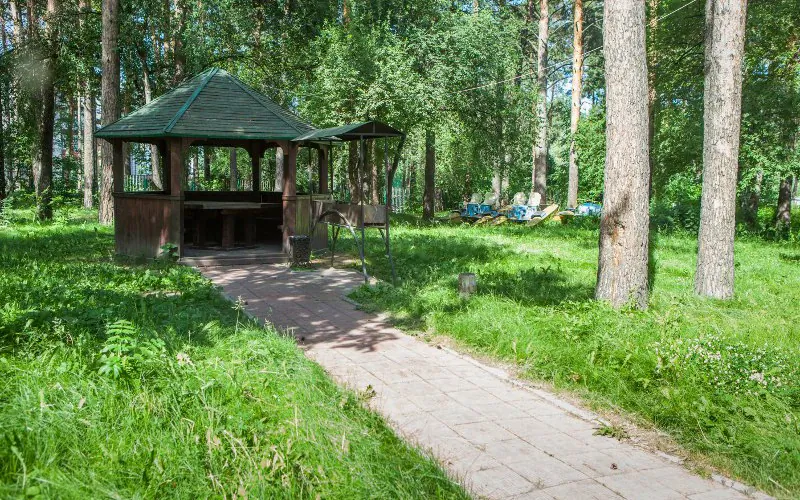Лесная сказка