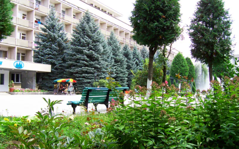 Голубые ели