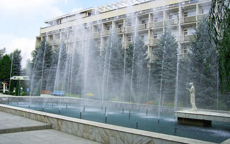 Голубые ели