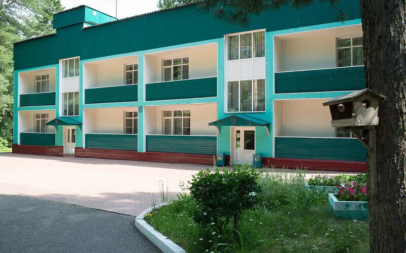 Кедровый бор