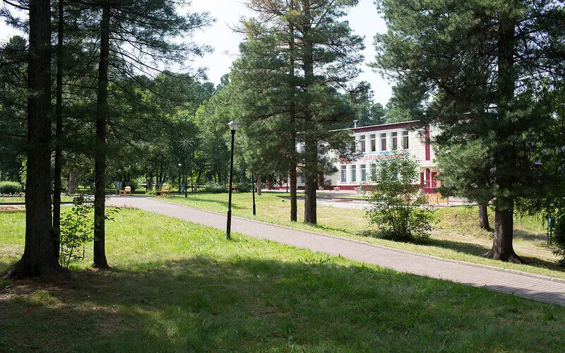 Кедровый бор