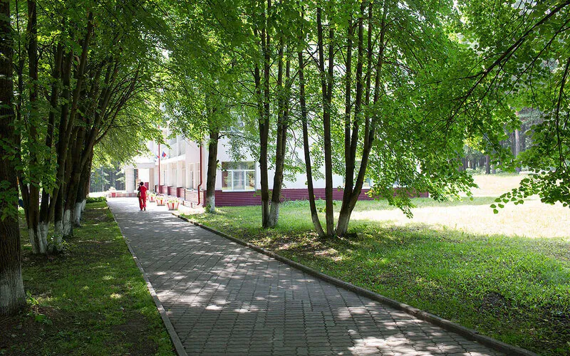 Кедровый бор
