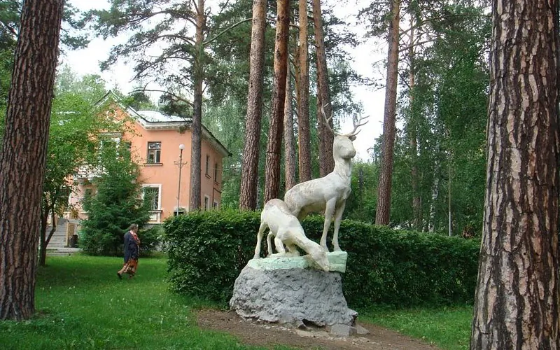 Сосновая горка