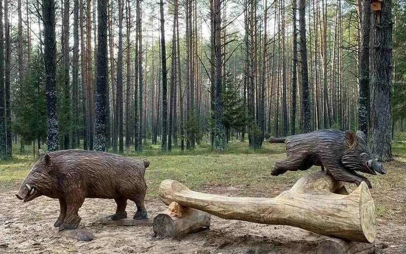 Нарочанский берег