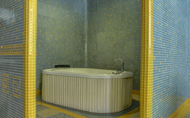 Мечта Тея
