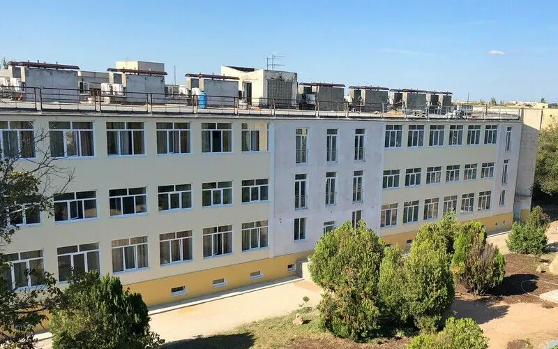 Чайка