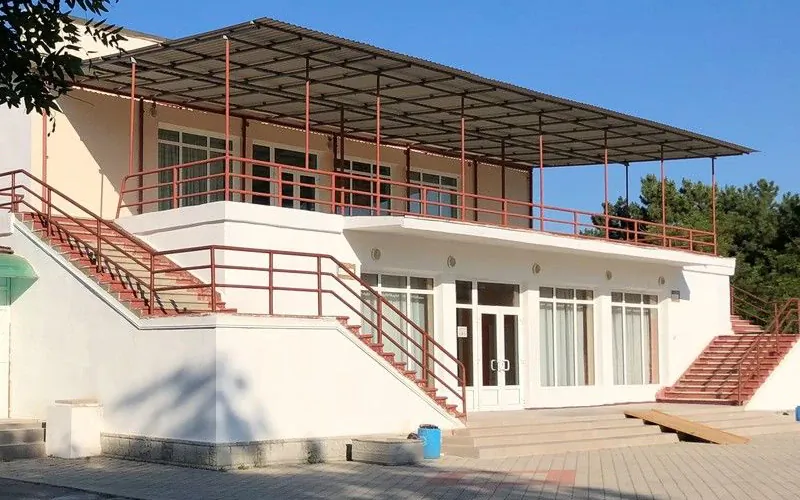 Чайка