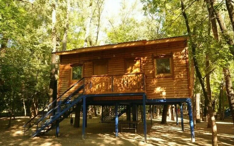 Касатка